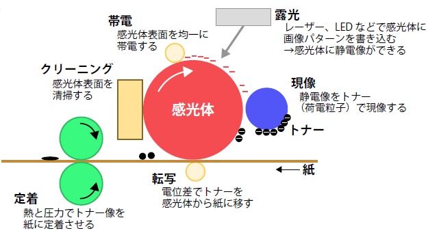 レーザープリンタの原理
