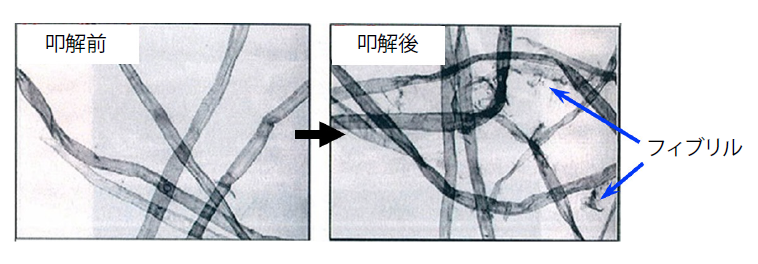 叩解前後の紙の繊維の顕微鏡写真