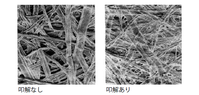 表面の電子顕微鏡写真