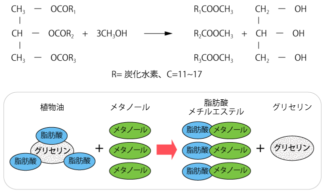 植物油のトランスエステル化反応式と模式図