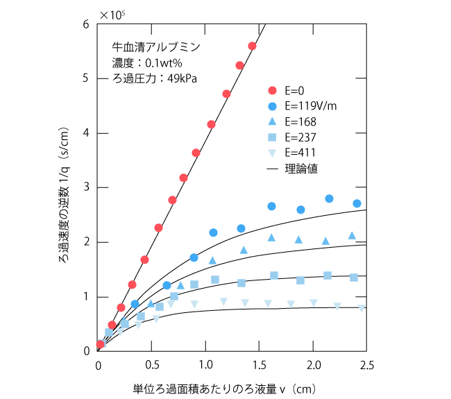 電気ろ過のろ過挙動