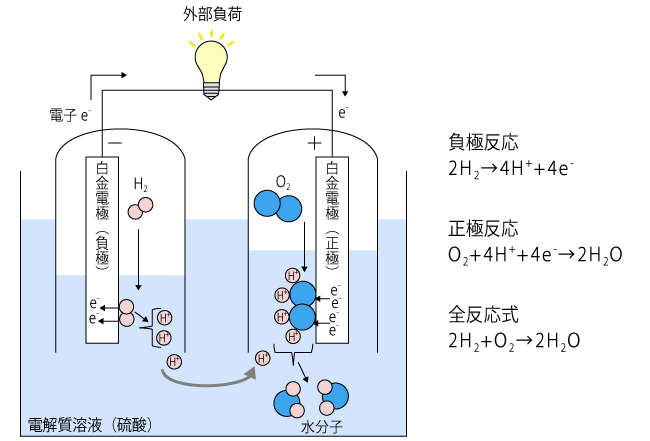 燃料電池の発電原理