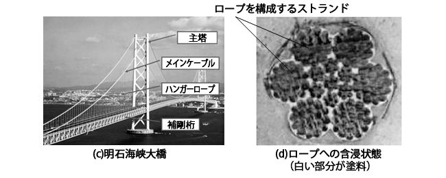 明石海峡大橋の塗装（写真提供：関西ペイント株式会社）