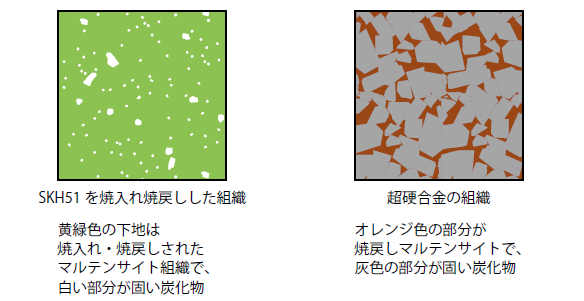 工具鋼（SKH51）と超硬合金の組織