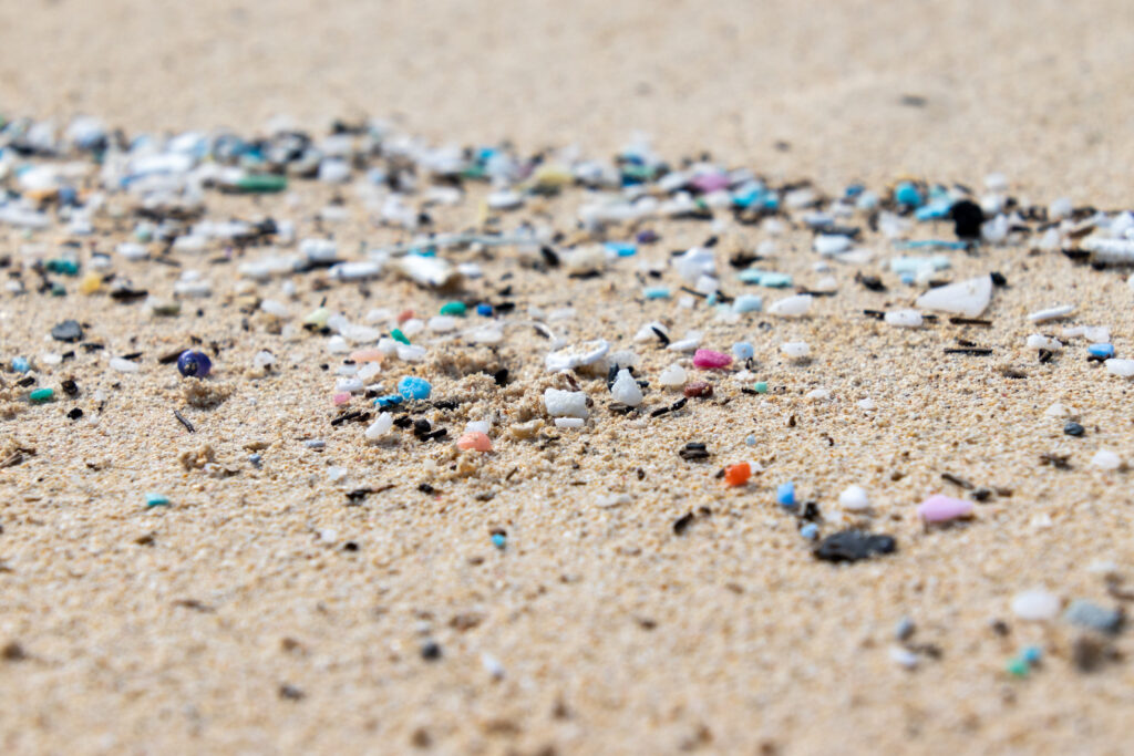 海岸に漂着したマイクロプラスチック