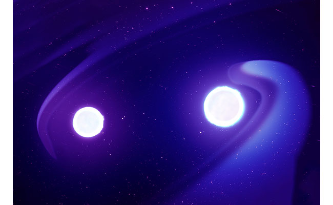 対になる2 つの中性子星