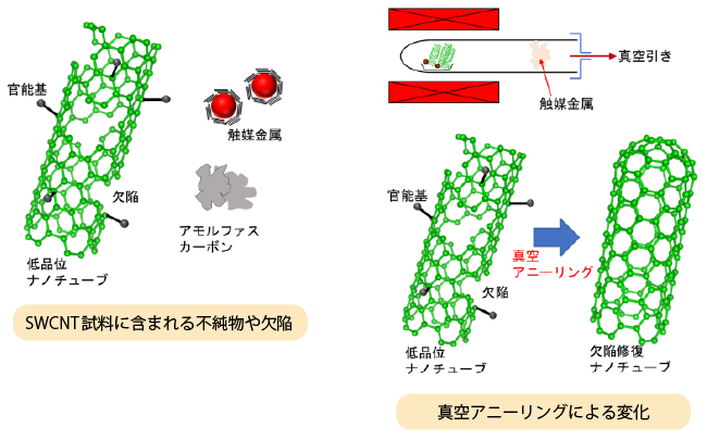SWCNT試料に含まれる不純物や欠陥と真空アニーリングによってSWCNT試料に起こる変化