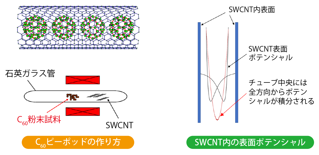 C₆₀ピーポッドの作り方の模式図とSWCNT内の表面ポテンシャル