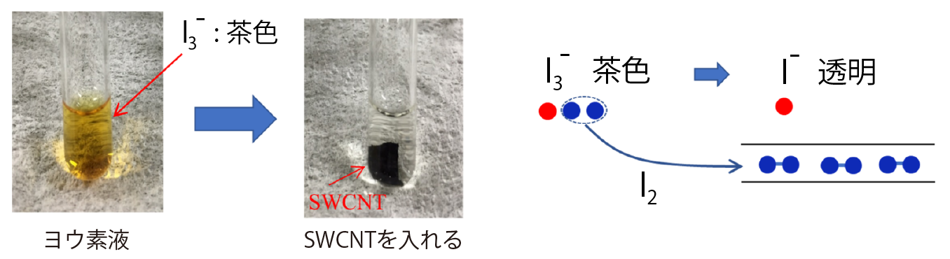 ヨウ素液にSWCNTを入れると茶色だったヨウ素液が透明に変化する