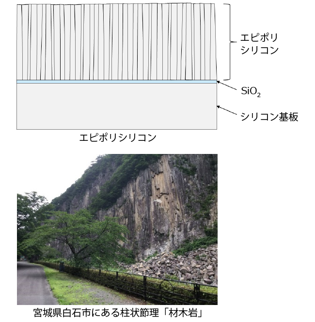 エピポリシリコンと材木岩の構造