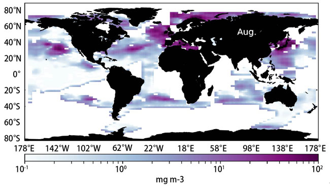 世界の海における8月の単位海水体積当たりのマイクロプラスチック浮遊重量（白抜きは未観測海域）