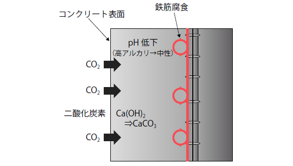 二酸化炭素による中性化の概念