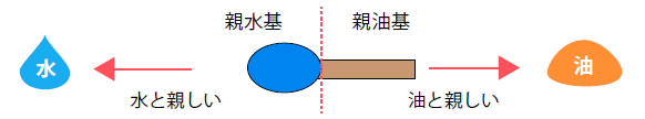 界面活性剤の構造