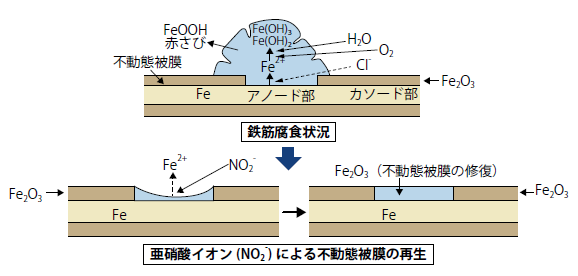 亜硝酸リチウムによる補修技術の概念