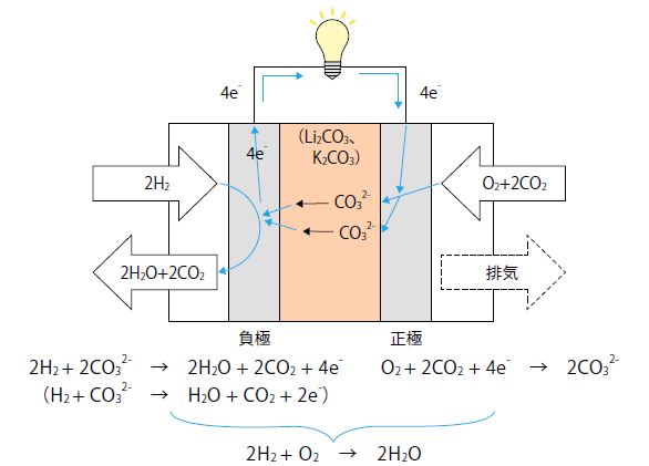 溶融炭酸塩形燃料電池（MCFC）の発電原理